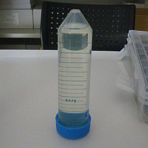 蛍光染料ウラニンNa含有試験水（流動トレーサー）