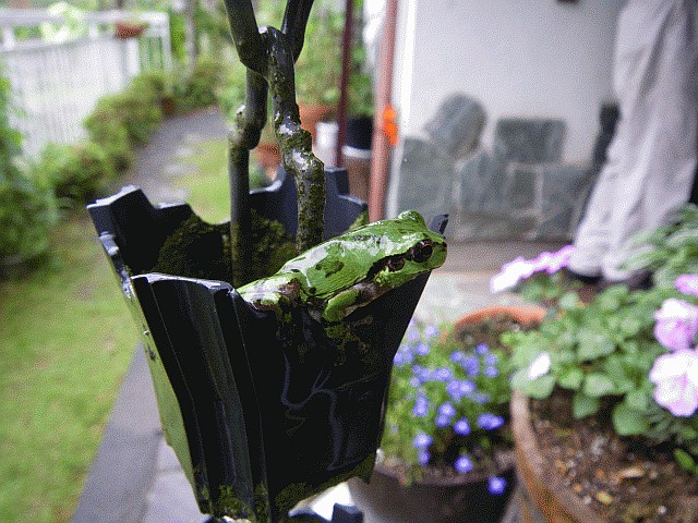 Come jump with me to the home.