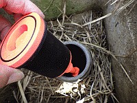 井戸キャップを設置しようとしているところ
